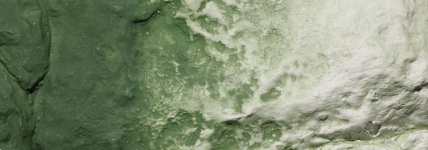 Woodland Scenics C1228 Liquid Pigment, Green Undercoat 8oz
