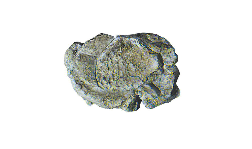Woodland Scenics C1237 Rock Mold, Wind Rock