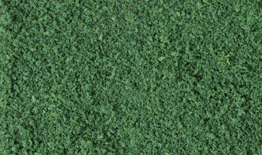 Woodland Scenics T1365 Coarse Turf, Dark Green 57.7 in³ Shaker