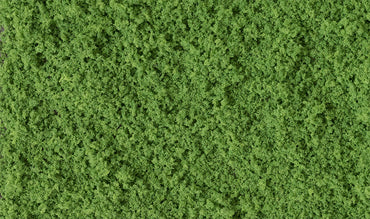 Woodland Scenics T1364 Coarse Turf, Medium Green 57.7 in³ Shaker
