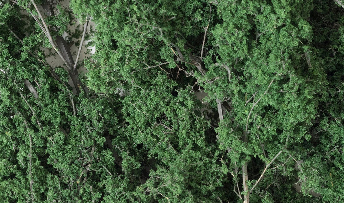 Woodland Scenics F1130 Fine-Leaf Foliage, Dark Green 75 in³