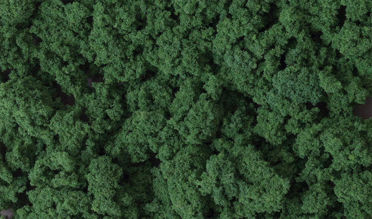 Woodland Scenics FC184 Clump Foliage, Dark Green Large Bag
