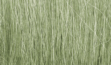 Woodland Scenics FG173 Field Grass, Light Green
