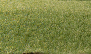 Woodland Scenics FS614 Static Grass, 2mm Medium Green 70g