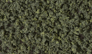 Woodland Scenics FC139 Underbrush, Forest Blend 21.6 in³ Bag