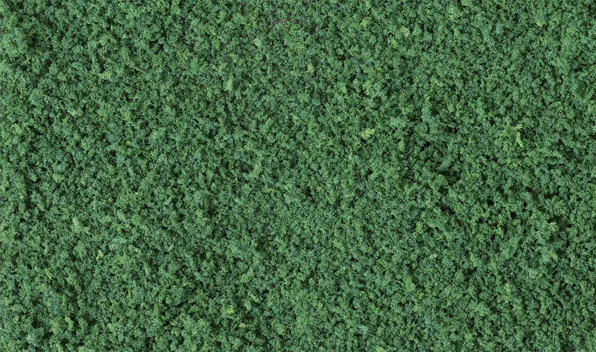 Woodland Scenics T1365 Coarse Turf, Dark Green 57.7 in³ Shaker