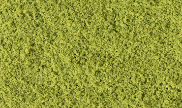 Woodland Scenics T1363 Coarse Turf, Light Green 57.7 in³ Shaker