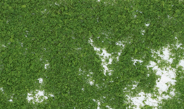 Woodland Scenics F52 Foliage, Medium Green 72 in²