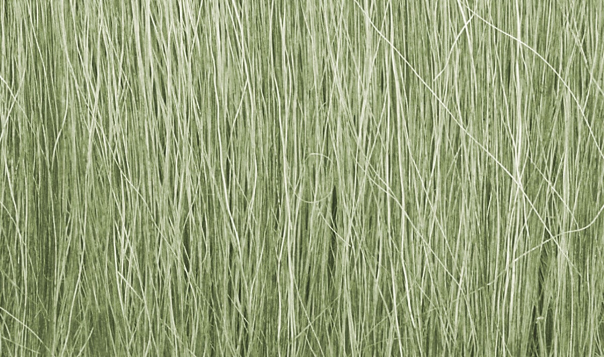 Woodland Scenics FG173 Field Grass, Light Green