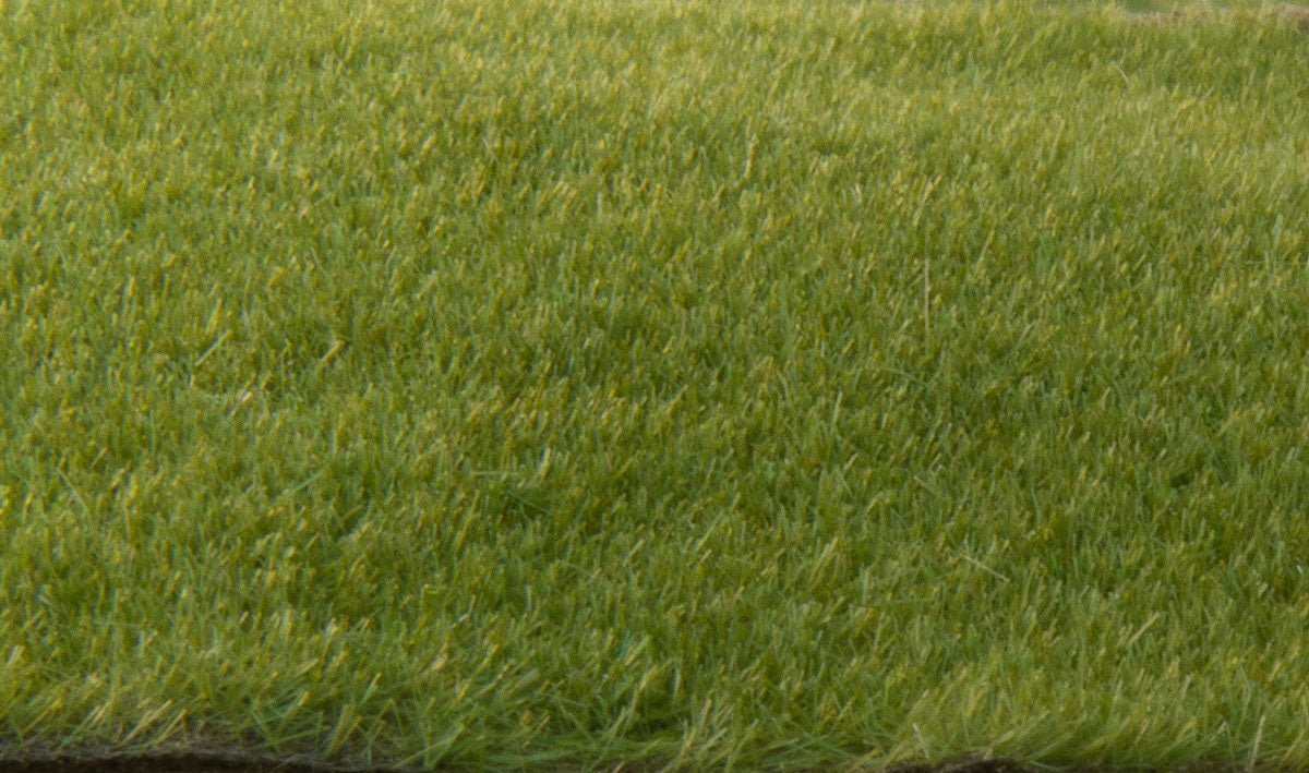 Woodland Scenics FS613 Static Grass, 2mm Dark Green 70g