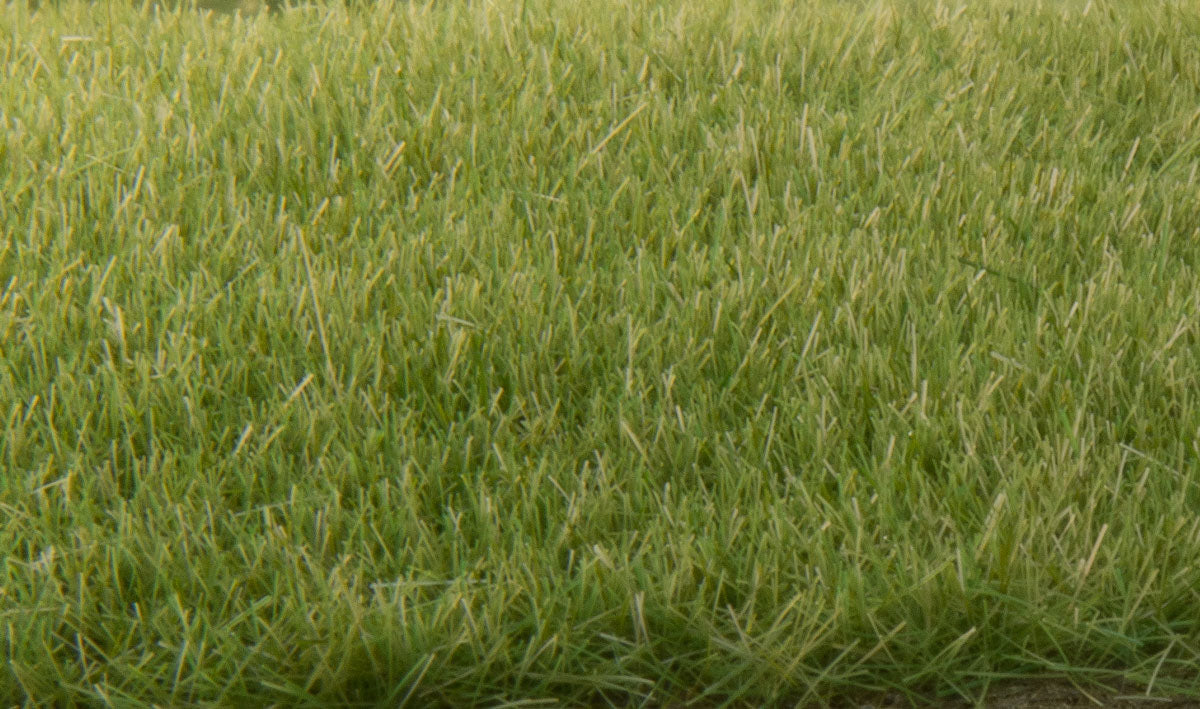 Woodland Scenics FS618 Static Grass, 4mm Medium Green 42g