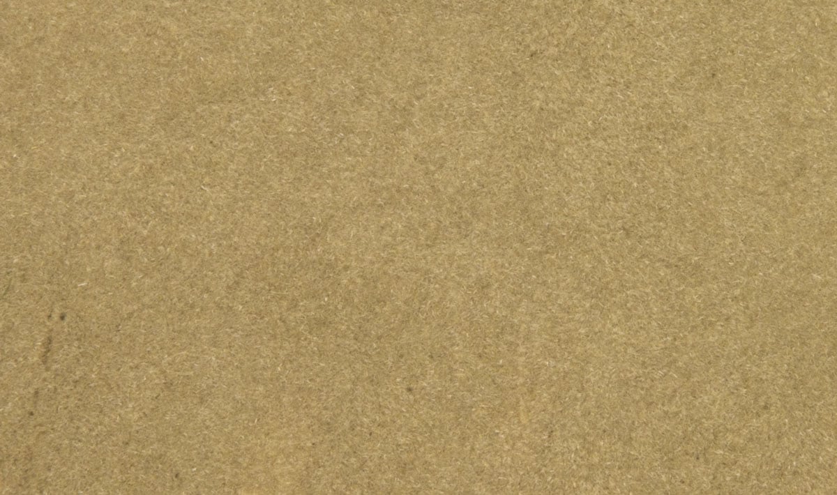 Woodland Scenics FS629 Plant Hues Variety Pack (Golden, Wheat, Shadow Green Red Switch)