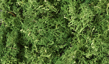 Woodland Scenics L163 Lichen, Medium Green 86.6 in³