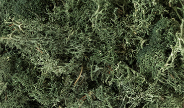 Woodland Scenics L164 Lichen, Dark Green 86.6 in³